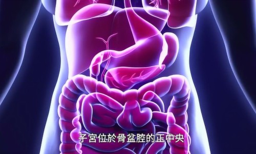 女性吃血府逐瘀注意啥-血府逐瘀口服液能和妇科千金片一起吃吗专区_女人吃血府逐瘀片好处专区_吃女金片和血府逐瘀胶囊13天网